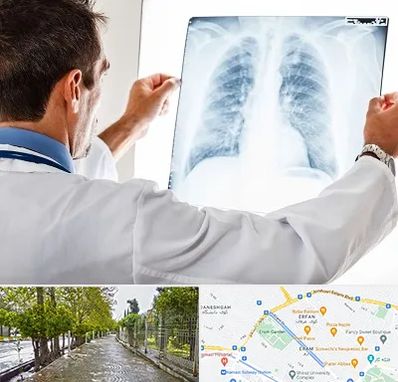 دکتر متخصص ریه در خیابان ارم شیراز