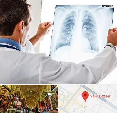 دکتر متخصص ریه در بازار وکیل شیراز
