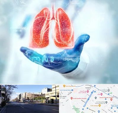 بیمارستان ریه در خیابان ملاصدرا شیراز