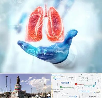 بیمارستان ریه در کارگر جنوبی 