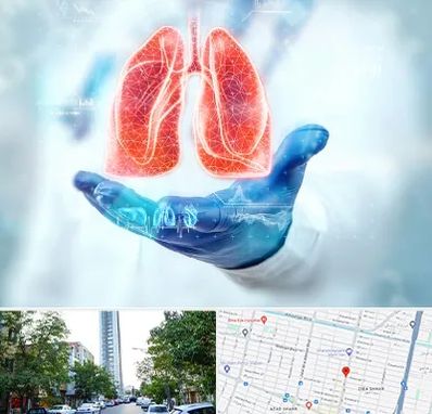 بیمارستان ریه در امامت مشهد