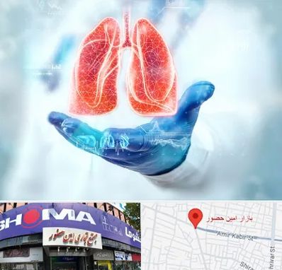بیمارستان ریه در امین حضور