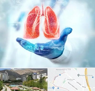 بیمارستان ریه در شهر زیبا 