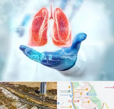 بیمارستان ریه در خیابان نیایش شیراز