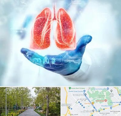 بیمارستان ریه در قدوسی غربی شیراز