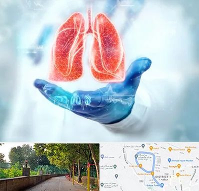 بیمارستان ریه در فلکه گاز رشت