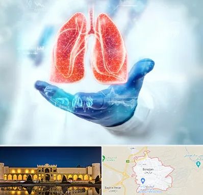 بیمارستان ریه در برازجان