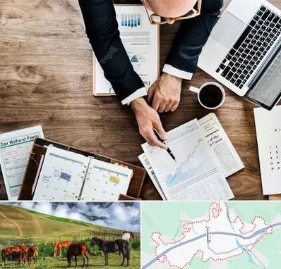 مشاوره کسب و کار در تالش