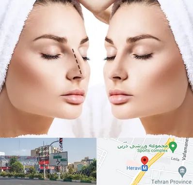 عمل بینی در هروی