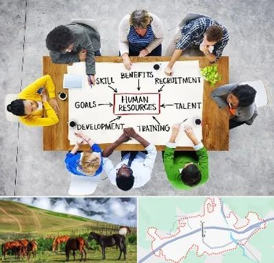 دوره مدیریت منابع انسانی در تالش