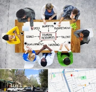 دوره مدیریت منابع انسانی در کوی فیروز تبریز