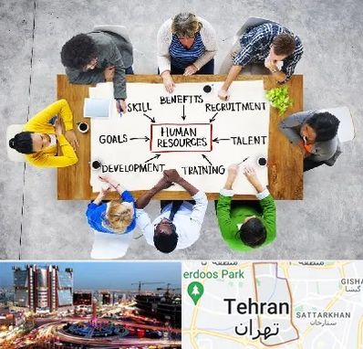 دوره مدیریت منابع انسانی در صادقیه 