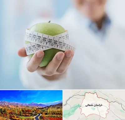 جراحی لاغری در خراسان شمالی