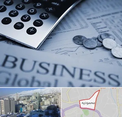 آموزشگاه مدیریت مالی در محمودیه