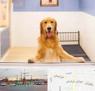 پانسیون حیوان خانگی در میدان خراسان