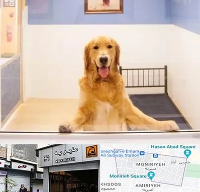 پانسیون حیوان خانگی در منیریه 