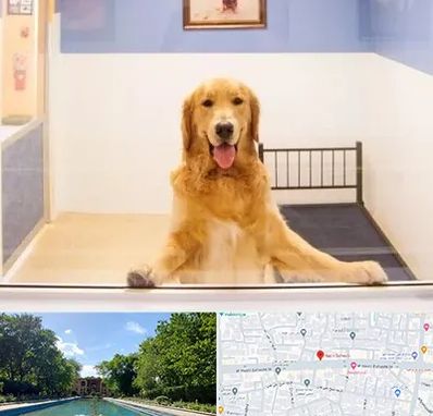 پانسیون حیوان خانگی در هشت بهشت اصفهان