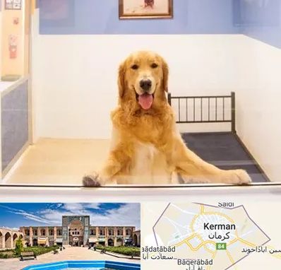 پانسیون حیوان خانگی در کرمان