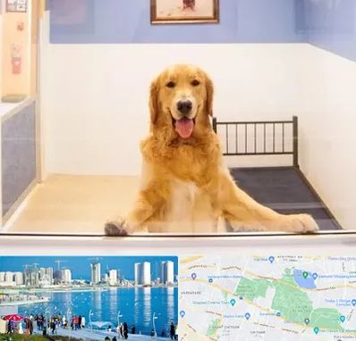 پانسیون حیوان خانگی در چیتگر 