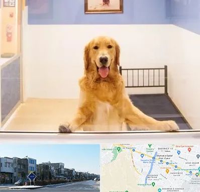 پانسیون حیوان خانگی در شریعتی مشهد