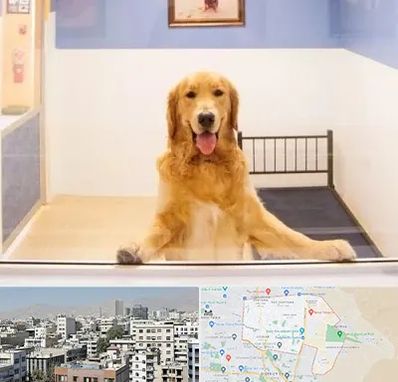 پانسیون حیوان خانگی در منطقه 14 تهران 