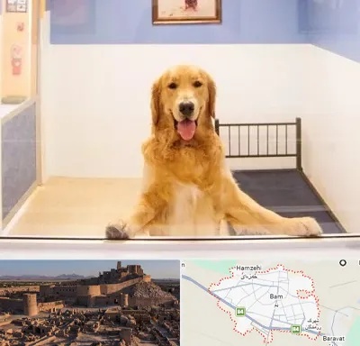 پانسیون حیوان خانگی در بم