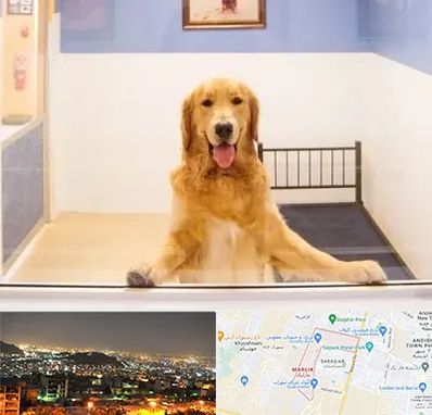 پانسیون حیوان خانگی در مارلیک کرج