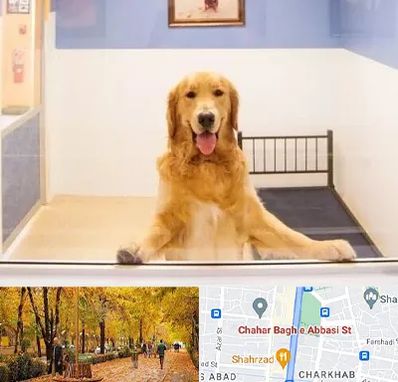 پانسیون حیوان خانگی در چهارباغ اصفهان