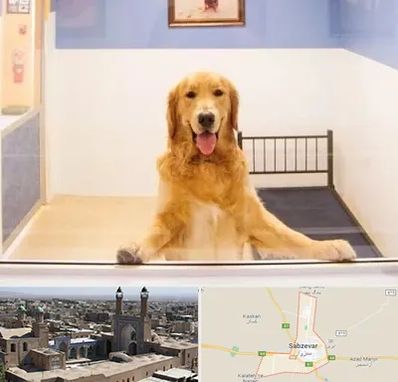 پانسیون حیوان خانگی در سبزوار