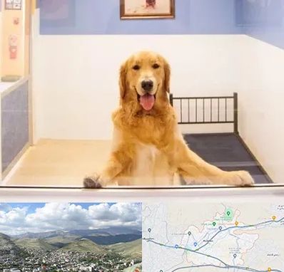 پانسیون حیوان خانگی در رودهن