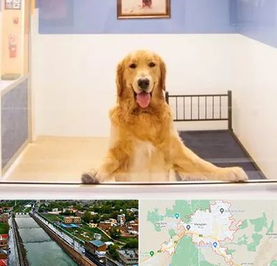 پانسیون حیوان خانگی در مراغه