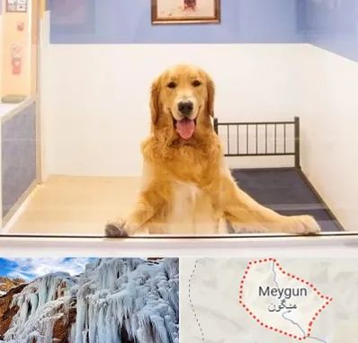 پانسیون حیوان خانگی در میگون