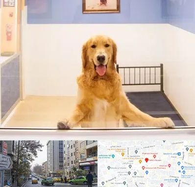 پانسیون حیوان خانگی در فاطمی 