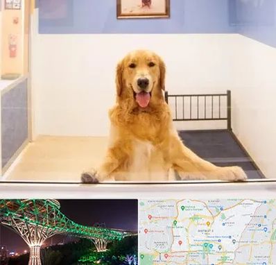 پانسیون حیوان خانگی در منطقه 3 تهران 