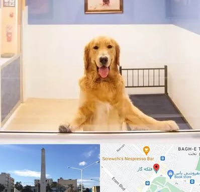 پانسیون حیوان خانگی در فلکه گاز شیراز