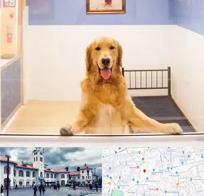 پانسیون حیوان خانگی در میدان شهرداری رشت