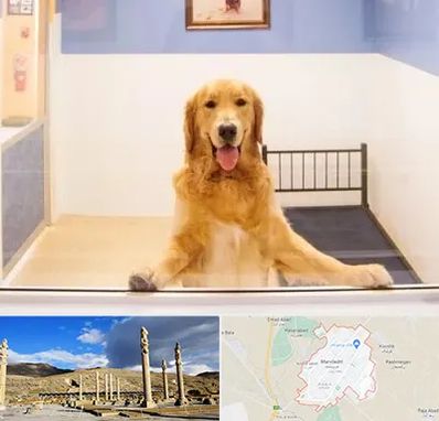 پانسیون حیوان خانگی در مرودشت