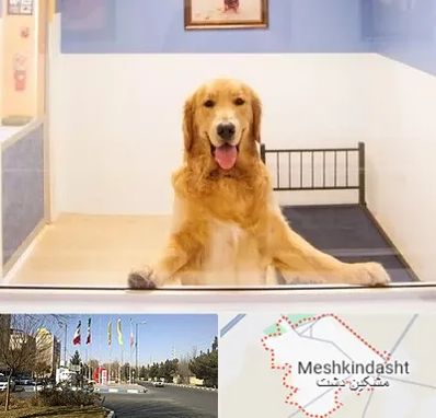 پانسیون حیوان خانگی در مشکین دشت