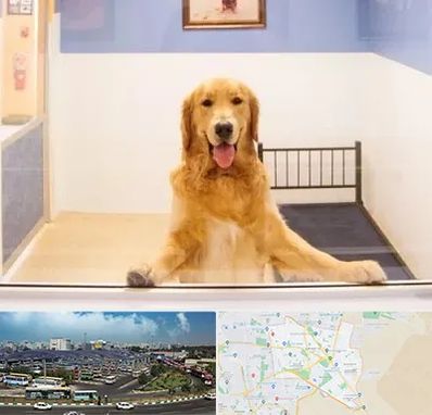 پانسیون حیوان خانگی در منطقه 15 تهران 