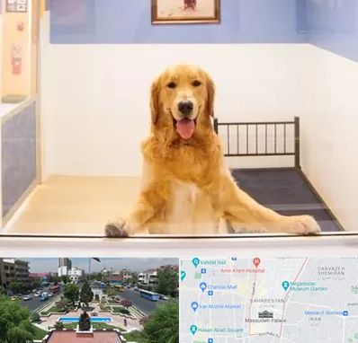 پانسیون حیوان خانگی در بهارستان 