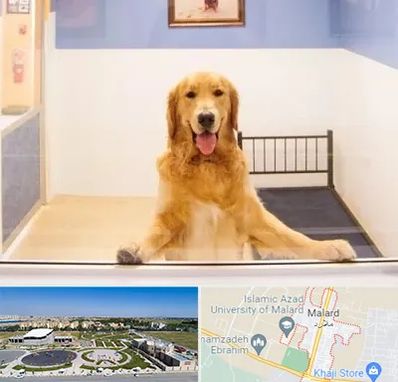 پانسیون حیوان خانگی در ملارد