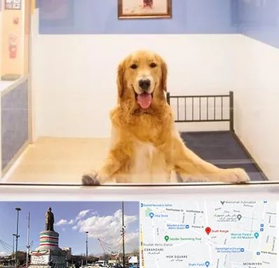 پانسیون حیوان خانگی در کارگر جنوبی 