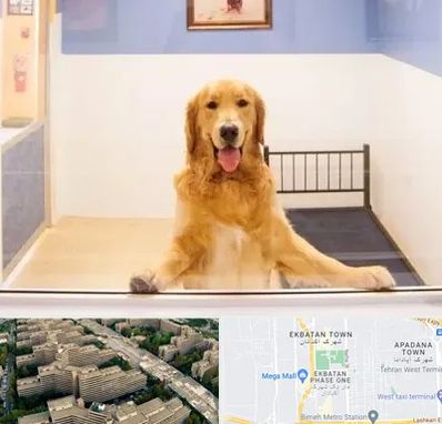 پانسیون حیوان خانگی در اکباتان 