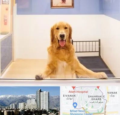 پانسیون حیوان خانگی در شهرک غرب 