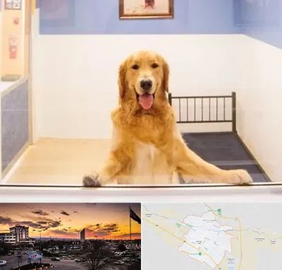 پانسیون حیوان خانگی در قوچان