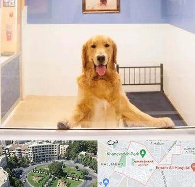 پانسیون حیوان خانگی در جهانشهر کرج 