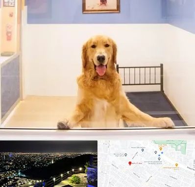 پانسیون حیوان خانگی در هفت تیر مشهد