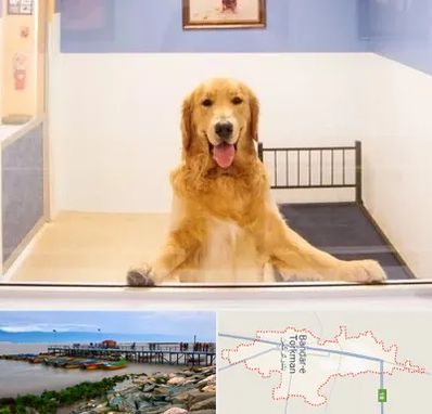 پانسیون حیوان خانگی در بندر ترکمن