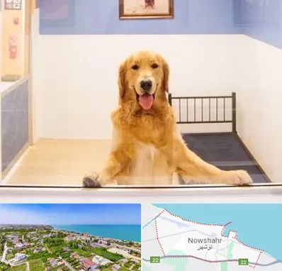 پانسیون حیوان خانگی در نوشهر