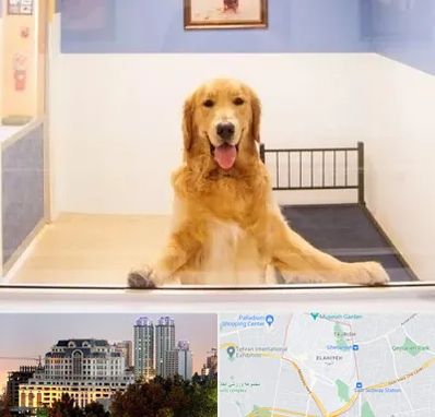 پانسیون حیوان خانگی در فرشته 